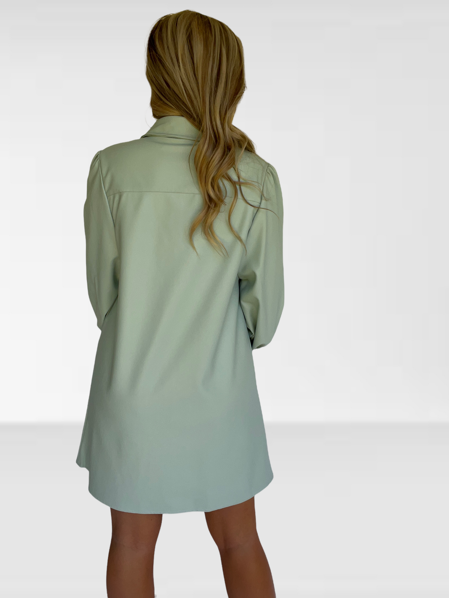 Soft Mint Leather Dress